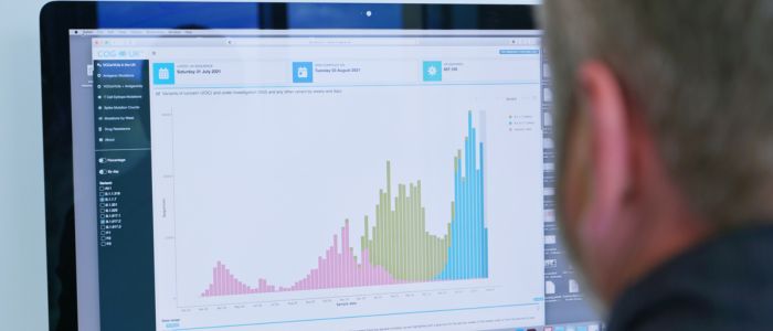 Person viewing a computer screen displaying a bar graph with pink, green, and blue sections, showing data trends over time.