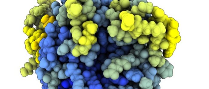 3D molecular model of a protein structure, featuring clustered colored spheres in yellow, blue, and green, representing different prediction accuracies.