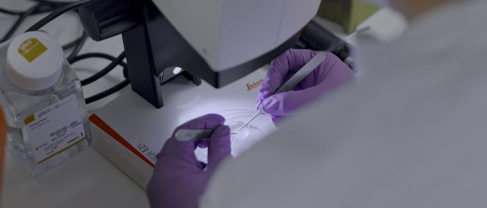 Gloved hands using fine tools under a microscope in a laboratory.