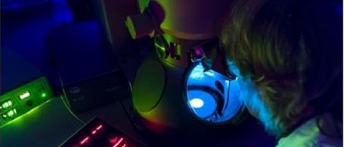 Image of female looking down a microscope