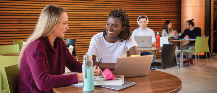 Two Students sitting at study space in library with others studying in the background