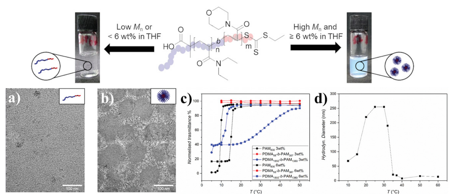 Scheme and cryo-EM images of the aggregation of Poly(N,N-Diethylacrylamide)-b-Poly(4-Acryloylmorpholine)